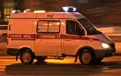 Ленск Собака загрызла девочку